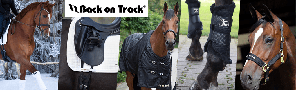 Back on Track Paard