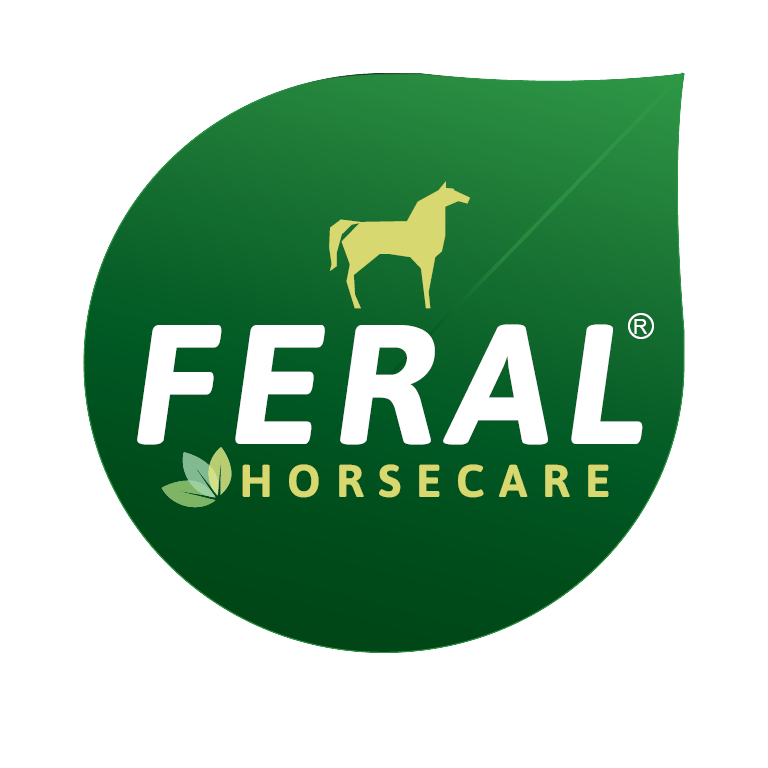 Feral Horsecare