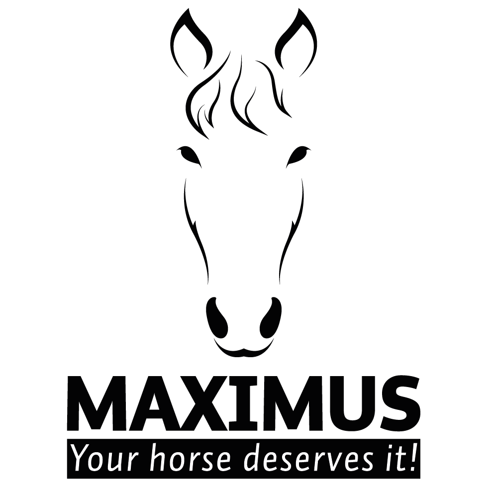 Maximus logo 