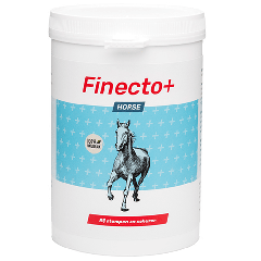 Finecto+ Horse 600g