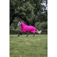 Bucas Freedom Fly Sheet Full Neck Pony 

Fuchsia