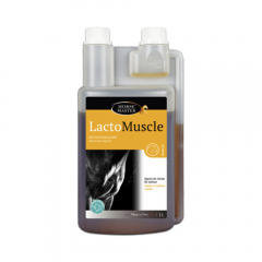 Horse Master LactoMuscle