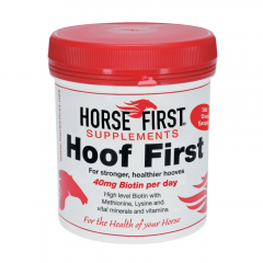 Horse First Hoof First 