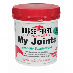 Horse First My Joints 