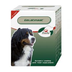 PrimeVal Gelatinaat Hond - 26627