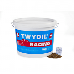 Twydil Racing