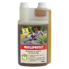 VitalStyle Paard MuscleProtect  1 L