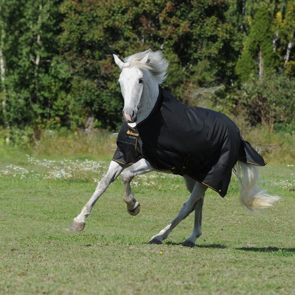 Skalk ondanks Vijf Pony dekens verkrijgbaar bij de Paardendrogist De Paardendrogist
