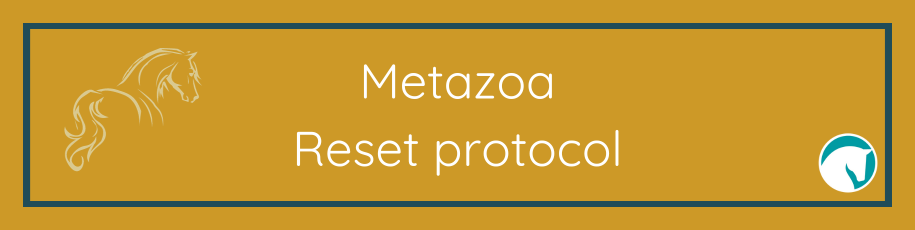 Metazoa_reset_protocol_De_Paardendrogist